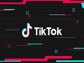 TikTok has been banned in India. (Source: The News Minute)