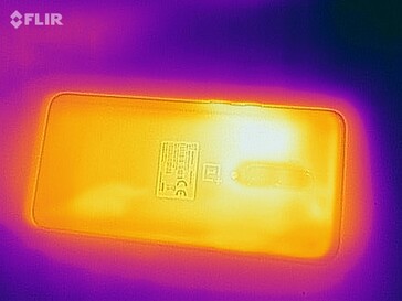 Heat map back