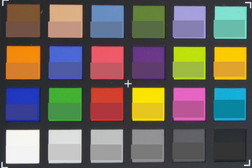 Photo of the ColorChecker chart. The lower half of each field shows the reference color.