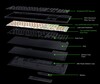 The BlackWidow V4 HyperSpeed TKL internal structure (Image source: Razer)