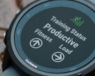 The Forerunner 255 and Forerunner 255s are expected to launch simultaneously. (Image source: Garmin)