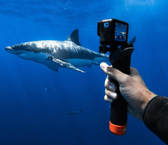 The HERO 10 Black is GoPro's latest action camera. (Image source: GoPro)