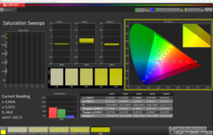 CalMAN Saturation Sweeps calibrated