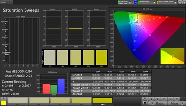 CalMAN saturation outer display