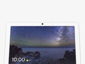 Google’s rumored Home Display could be a successor to the Nest Hub Max (pictured)