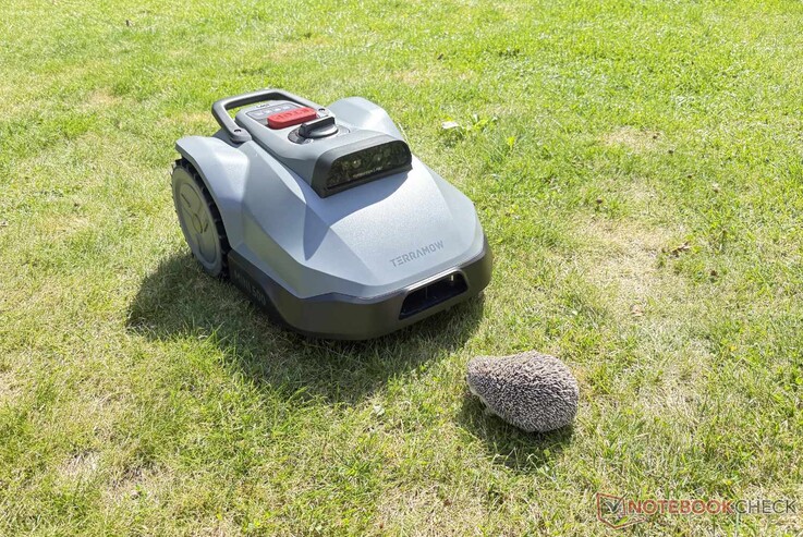 In testing, the TerraMow Mini 500 reliably detected our fake hedgehog and other obstacles.