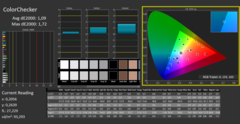 CalMAN - Color Checker (after calibration)