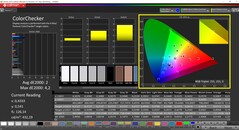 CalMAN ColorChecker (target color space P3)