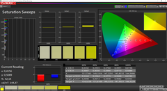 CalMAN Saturation calibrated