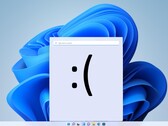 Windows 11's launch saga made many enthusiasts apprehensive while hardware requirements led to dismally low adoption rates. (Image source: Notebookcheck - edited)