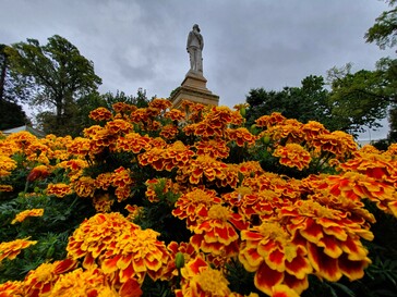 All shot on the Galaxy S10+ in Pro mode in a range of lighting conditions. (Source: Notebookcheck)