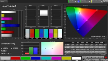 CalMAN colour space