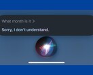 Siri seems to be struggling to answer simple questions like 'what month is it?'. (Image source: Guitar_Scary on Reddit) 
