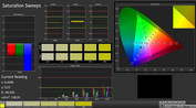 CalMAN: Saturation Sweeps (calibrated)