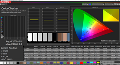 CalMAN - ColorChecker (calibrated)