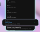 A YouTuber tested Spotify's lossless audio and found it to be lacking (image source: Spotify)