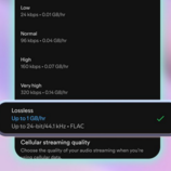 A YouTuber tested Spotify's lossless audio and found it to be lacking (image source: Spotify)