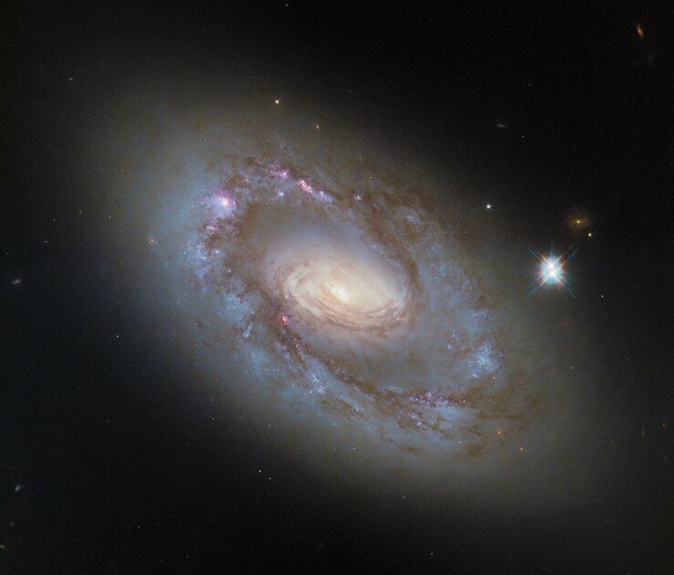 The Hubble image of NGC 4102 (Image source: ESA/Hubble, NASA, and G. Fabbiano)