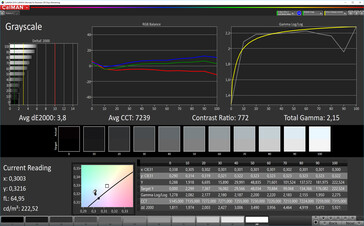 CalMAN: Grayscale – sRGB target colour space