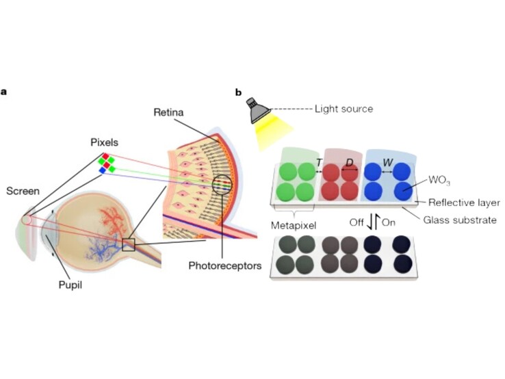 (Image source: Nature)