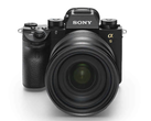 The Sony A9 manages blackout-free continuous shooting of up to 20 fps. (Image source: Sony)