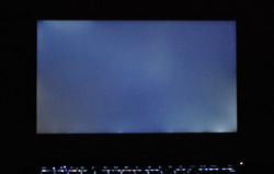 Slight backlight bleeding (shown amplified here)