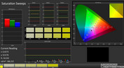 CalMAN: Saturation Sweeps (calibrated)