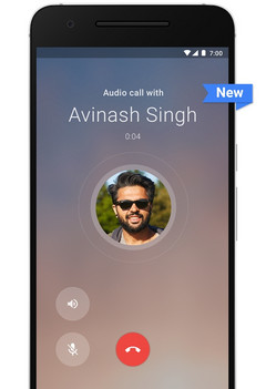 New feature, same minimalist approach: the updated Google Duo. (Source: Google Play)