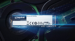 Kingston maintains dominance as Chinese SSD manufacturers gain ground in global market (Image source: Kingston)