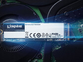 Kingston maintains dominance as Chinese SSD manufacturers gain ground in global market (Image source: Kingston)