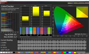 CalMAN color accuracy - intense