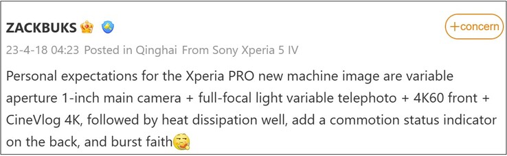 Xperia PRO-I expectations. (Image source: Weibo)