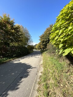 Picture captured with the ultra-wide camera