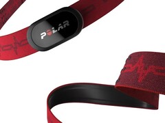 Polar appears to be working on a new wearable strap similar to the H10 (above). (Image source: Polar)