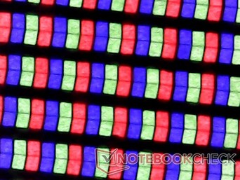 Crisp RGB subpixels means no graininess issues on the display