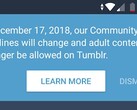 Tumblr guidelines change in-app notification December 17, 2018 no more porn