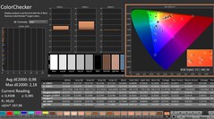 Calman: ColorChecker (calibrated)