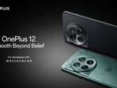 The OnePlus 12. (Image source: OnePlus)