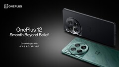 The OnePlus 12. (Image source: OnePlus)