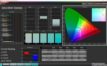 CalMAN: Saturation (True Tone activated, sRGB target colour space)