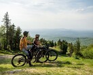 The Devinci E-Troy Bosch e-bike has an 85Nm torque motor. (Image source: Devinci)
