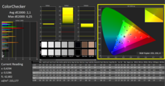 CalMAN - ColorChecker (calibrated)