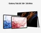 The Galaxy Tab S8 series. (Source: Samsung)