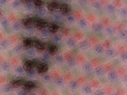 Microscopic image of the display