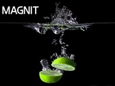 The MAGNIT series has a new member. (Source: LG)