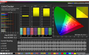 CalMAN color accuracy - sRGB