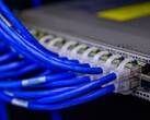 Blue network cables plugged into the ports of a switch in a data center