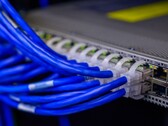 Blue network cables plugged into the ports of a switch in a data center