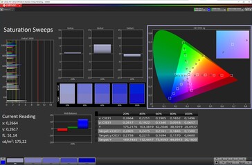 Saturation (profile: Vivid, target color space: DCI-P3)