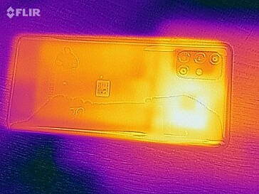 Heat map - back